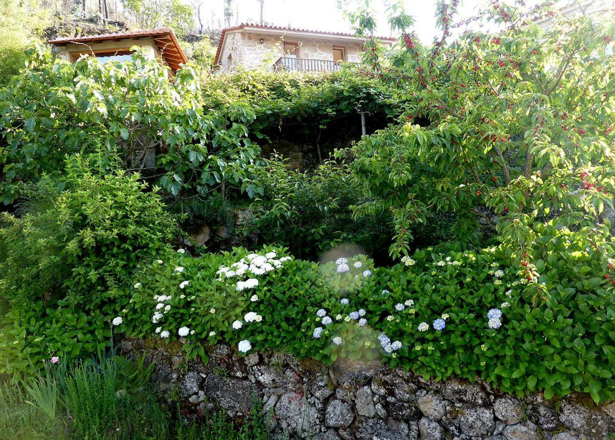 Casa Da Eira Velha Villa Vale de Cambra Exterior photo